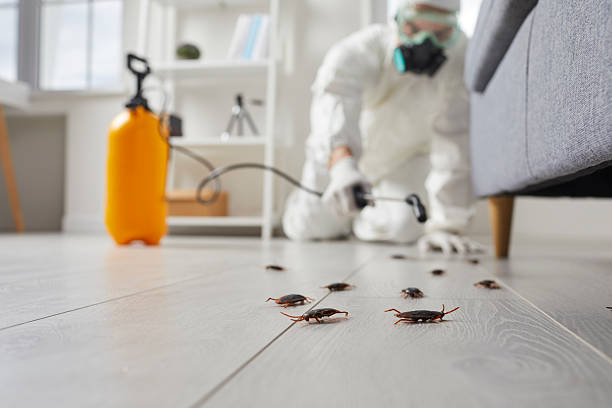 Commercial Kitchen Cockroach Control in Conshohocken